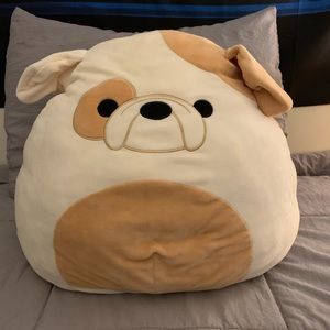 Squishmallows Brock Bulldog 16”